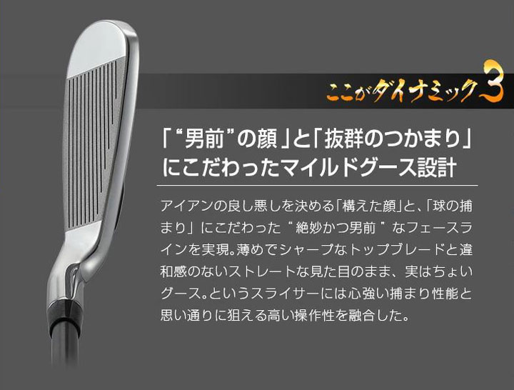 【新品】ダイナミクスアイアン ワークテック飛匠シャフト仕様5番～PW 6本セット 楽天市場】ゴルフ クラブ セット アイアンセット ダイナミクス