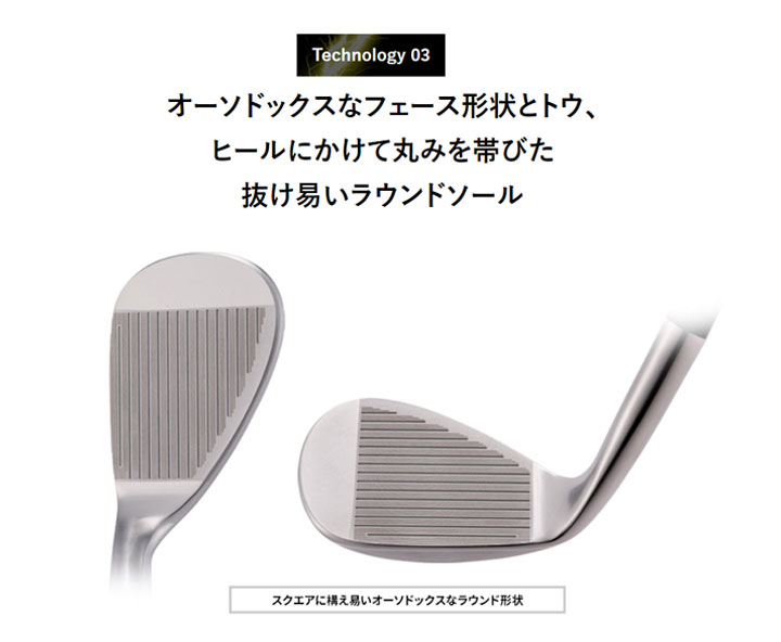 ロイヤルコレクション BBウェッジ クロームメッキサテン仕上げ(シルバー) ダイナミックゴールドS200 スチール Dynamic Gold G200 BBWEDGE SV WE COLLECTION ROYAL COLLECTION（ロイヤルコレクション） BBウェッジ クロームメッキ