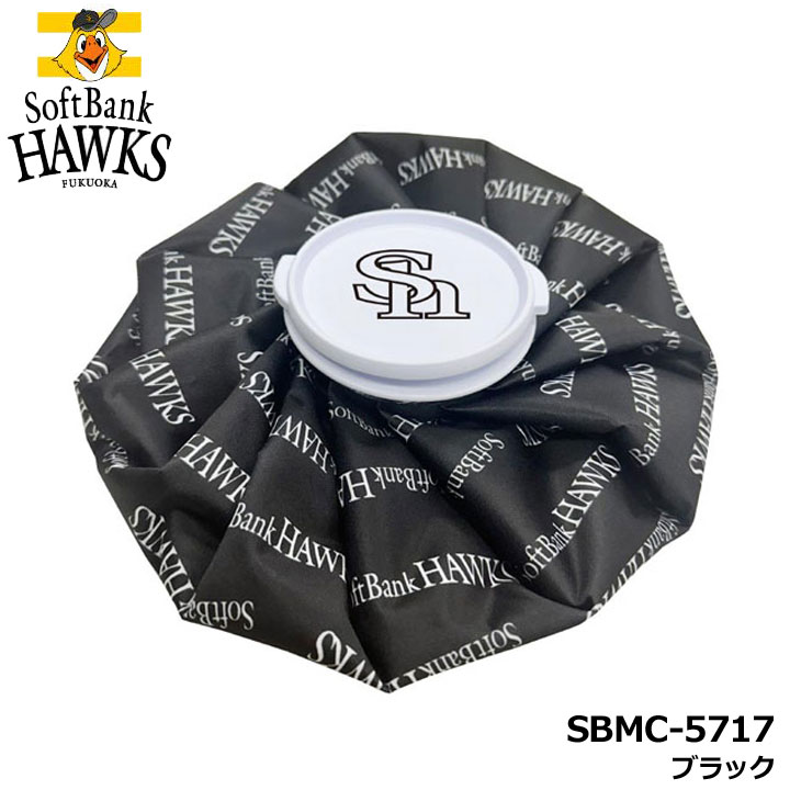 y2025fz\tgoNz[NX SBMC-5717 ACXobO ubN  X̂ XX ACVO St SoftBank HAWKS LEZAX