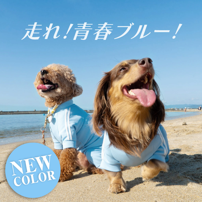 full of vigor 犬 服 夏 春 ドッグプレイ(R) 体操服 ジャージ