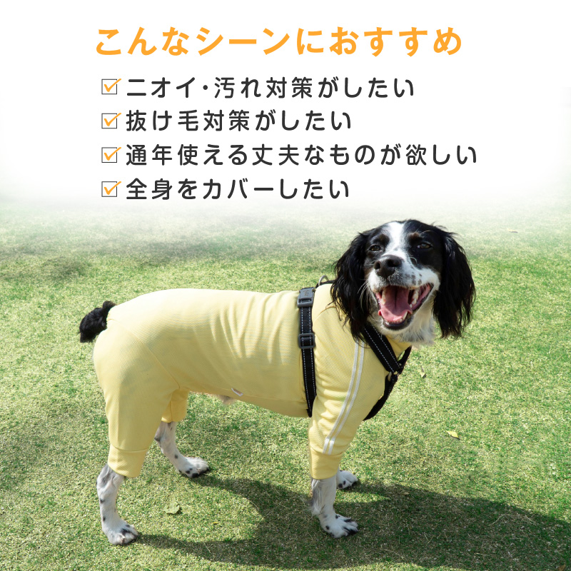 full of vigor（フルオブビガー） 中型犬 服 夏 中型犬用 ドッグプレイ