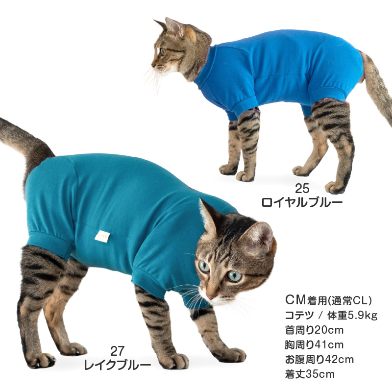 猫 服 過剰グルーミング 高齢 シニア 舐め壊...の詳細画像5