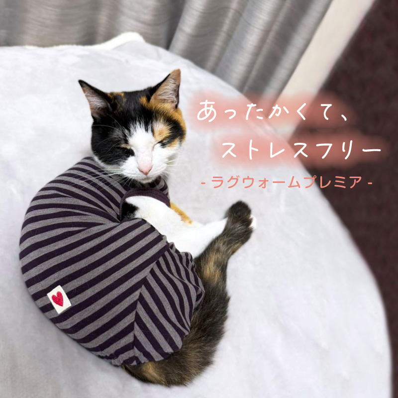 full of vigor（フルオブビガー） 猫 服 過剰グルーミング 高齢 シニア
