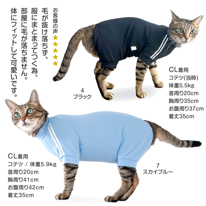 full of vigor 猫 服 過剰グルーミング 高齢 シニア 舐め壊し 夏