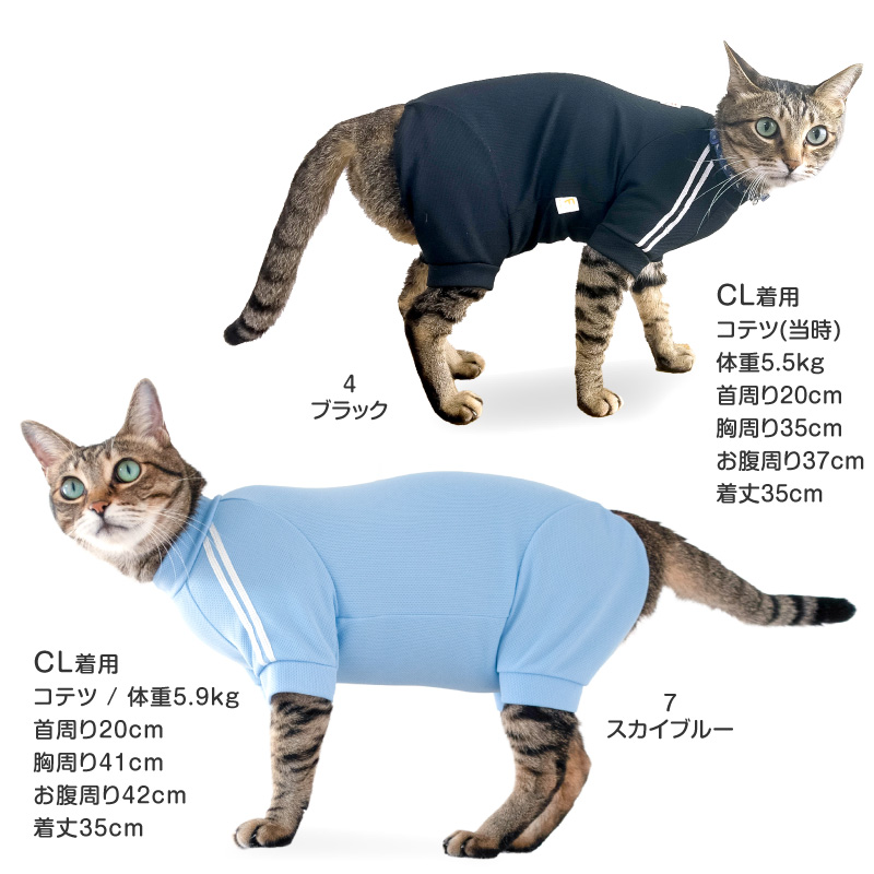 猫 服 過剰グルーミング 高齢 シニア 舐め壊...の詳細画像5