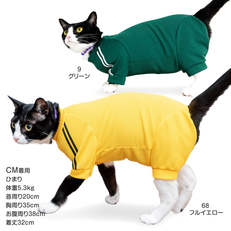 full of vigor（フルオブビガー） 猫 服 過剰グルーミング 高齢 シニア