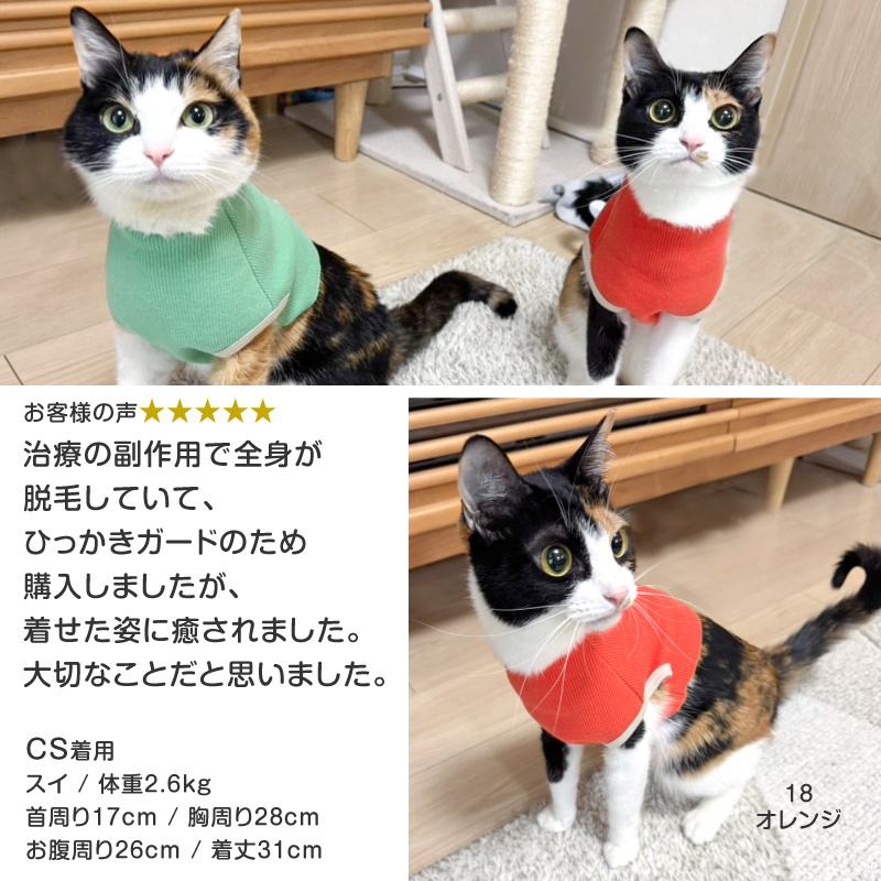 full of vigor（フルオブビガー） 皮膚病 舐め対策 猫 服 過剰