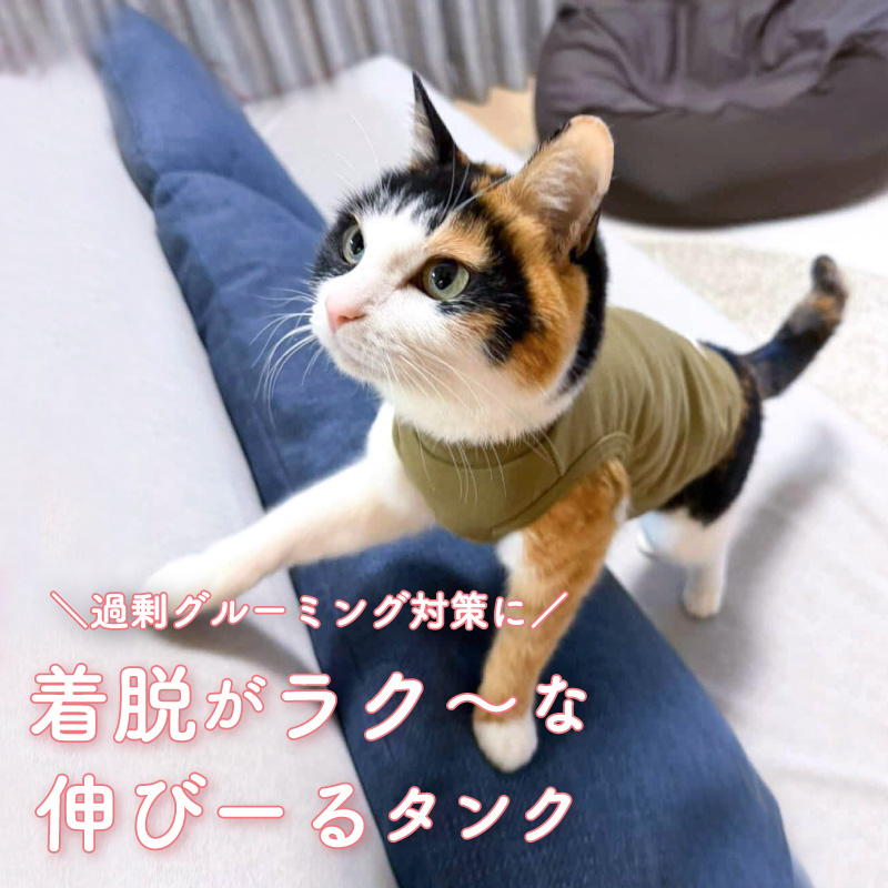 full of vigor（フルオブビガー） 猫 服 過剰グルーミング 高齢 シニア