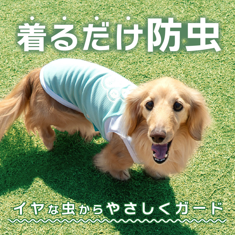 犬服　tomo　ご確認 full of vigor（フルオブビガー） 犬 服 春 肉球 プリント 防蚊 タンク