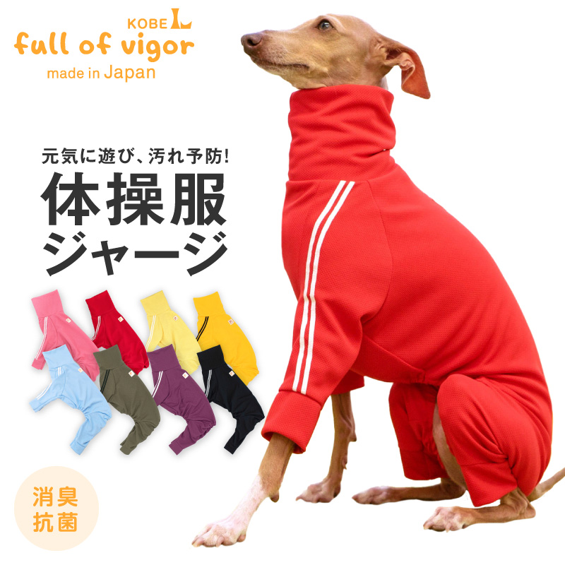 full of vigor イタグレ 服 夏 春 イタグレ用 ドッグプレイ(R