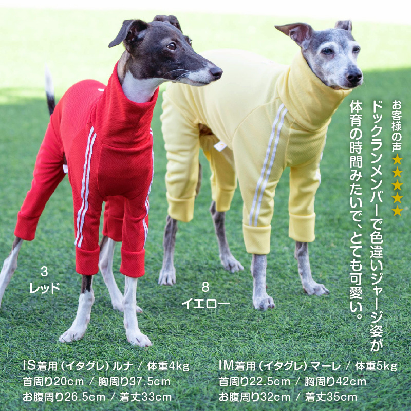 犬服　パピヨン服　イタグレ服 full of vigor イタグレ 服 夏 春 イタグレ用 ドッグプレイ(R