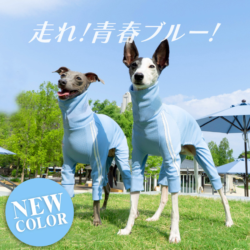 full of vigor（フルオブビガー） イタグレ 服 冬 秋 イタグレ用