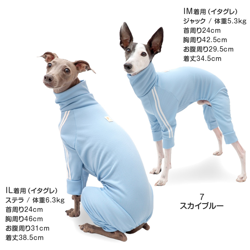 犬の服 full of vigor ヤフー店 - イタグレ用｜Yahoo!ショッピング