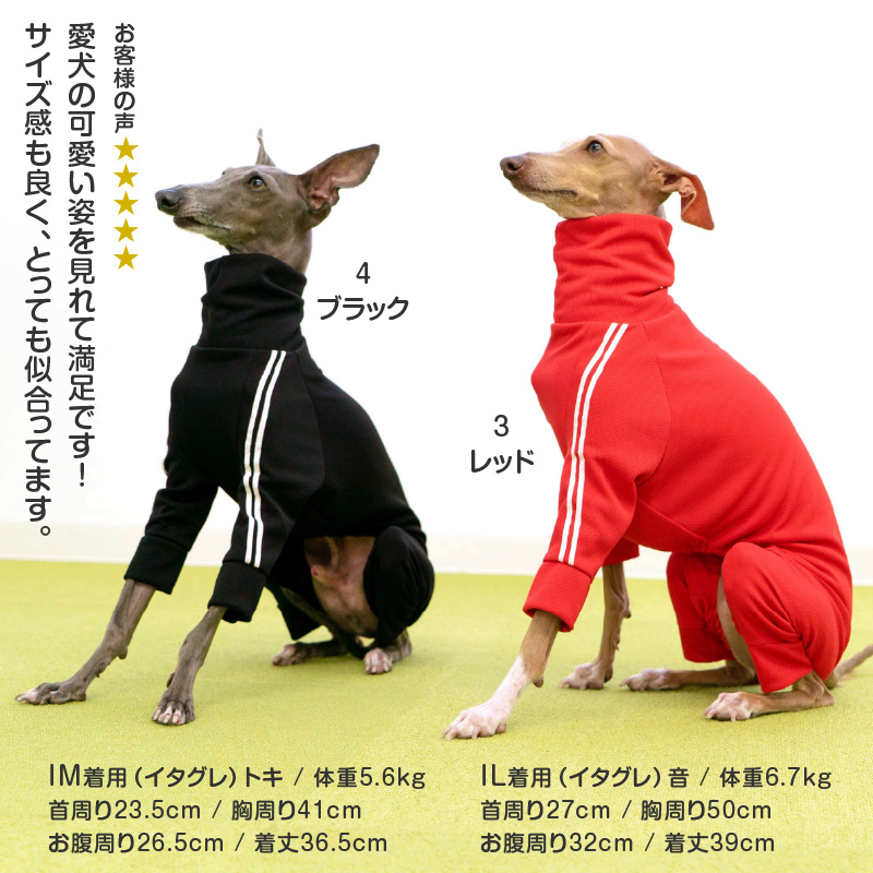 犬服　パピヨン服　イタグレ服 はっぴーDOG イタグレ冬服 イタグレ服 イタグレ イタリアン