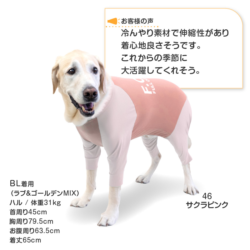 大型犬 服 夏 大型犬用 ドッグプレイ(R) 接触冷感 ハイテンション ラッシュガード  紫外線対策 UV対策 アウトドア 冷感 ひんやり | full of vigor | 12