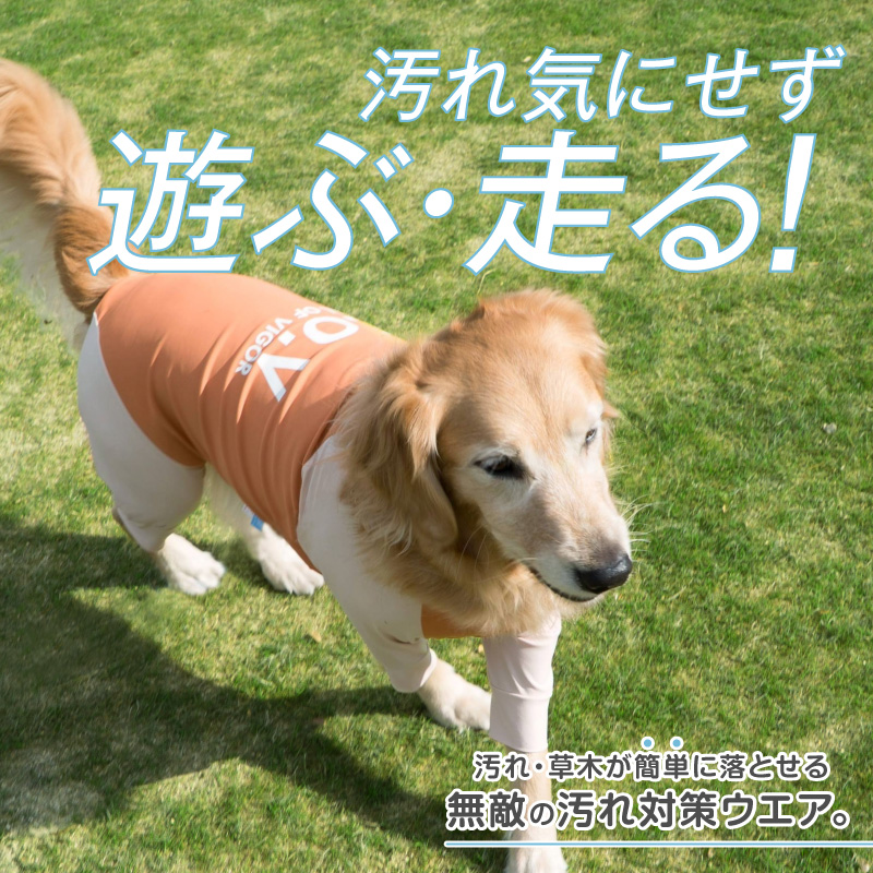 full of vigor（フルオブビガー） 大型犬 服 大型犬用 ドッグプレイ(R