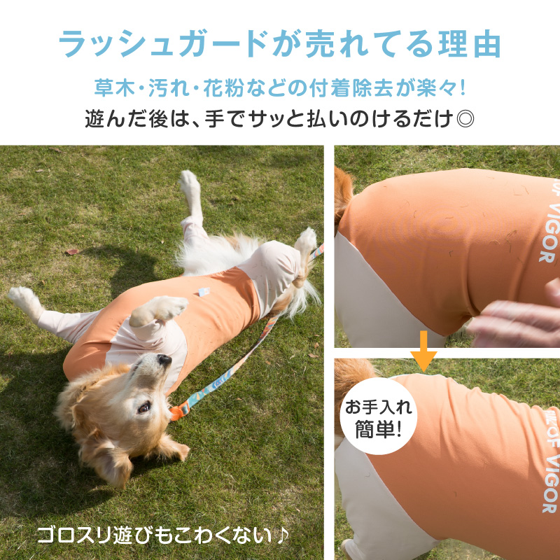 大型犬 服 夏 大型犬用 ドッグプレイ(R) 接触冷感 ハイテンション ラッシュガード  紫外線対策 UV対策 アウトドア 冷感 ひんやり | full of vigor | 05