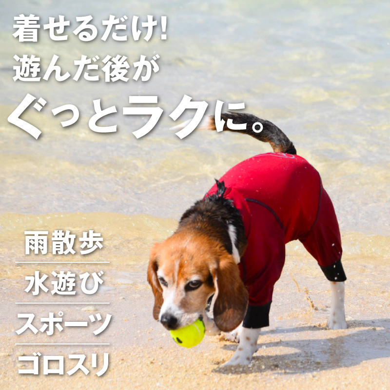 シャカシャカ 音がしない 中型犬 服 秋中型犬用 伸びて 着せやすい ドッグプレイ(R) サークル プリント 撥水 ラッシュガード | full of vigor | 03