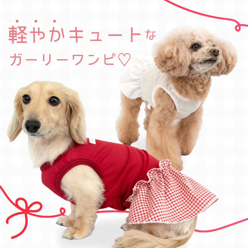 full of vigor（フルオブビガー） 【20%OFFクーポン対象】【6/20 0時