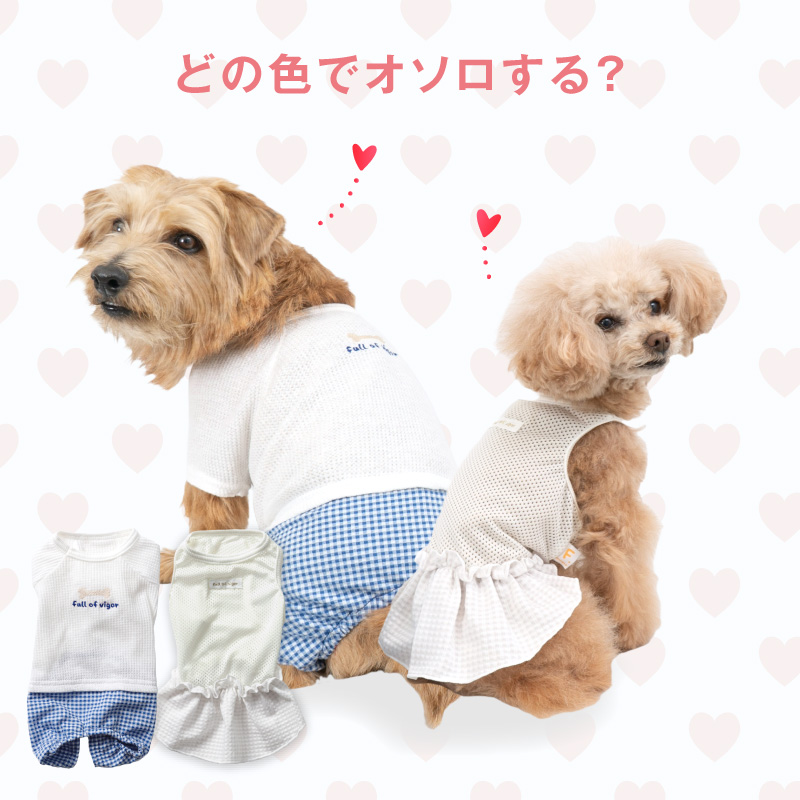 full of vigor（フルオブビガー） 【20%OFFクーポン対象】【6/20 0時