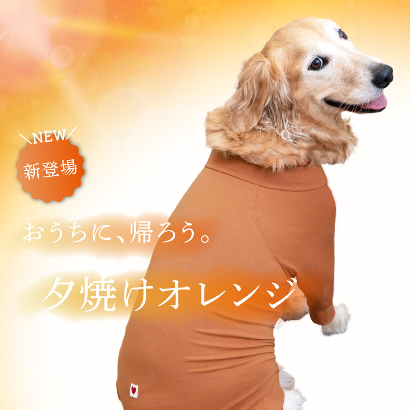 full of vigor（フルオブビガー） 大型犬 服 夏 大型犬用 伸びて 着せ