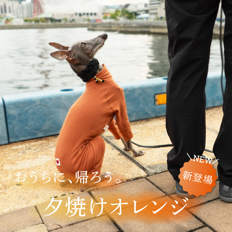 full of vigor（フルオブビガー） イタグレ 服 夏 イタグレ用 伸びて