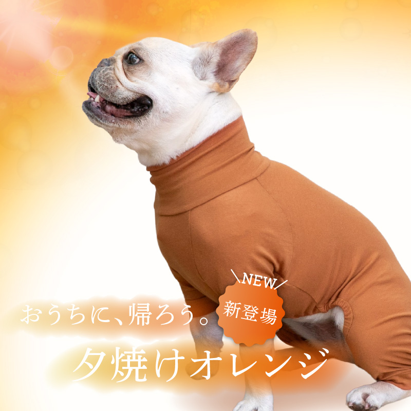 full of vigor（フルオブビガー） フレブル 服 夏 フレブル用 伸びて