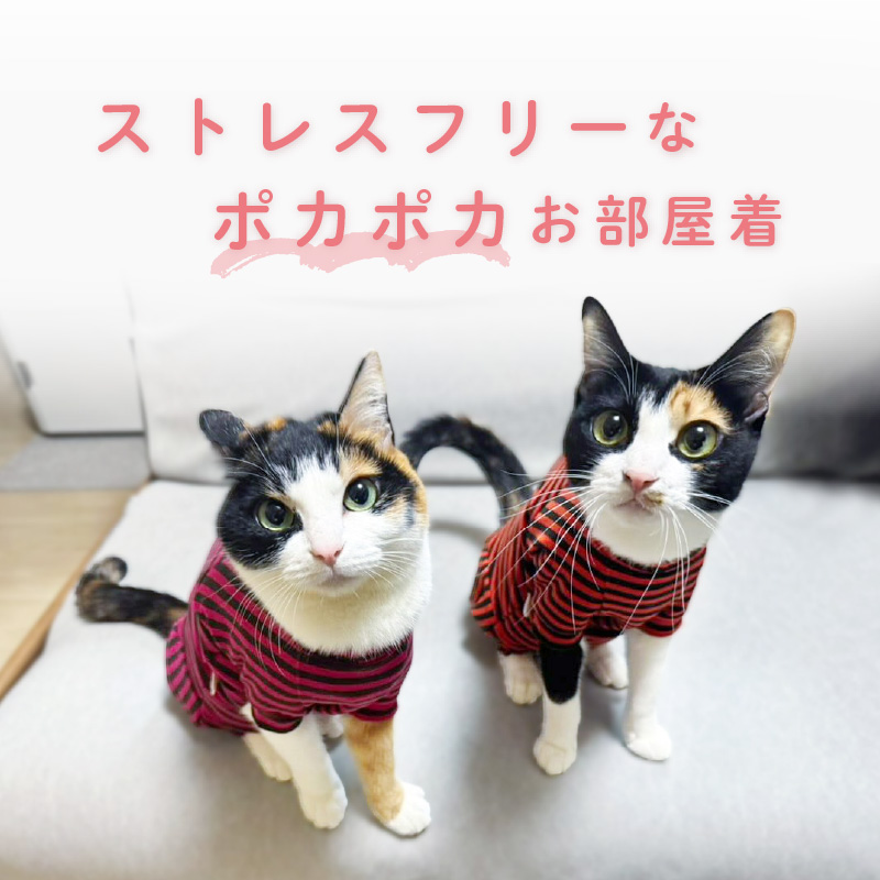 猫 服 過剰グルーミング 高齢 シニア 舐め壊...の詳細画像1