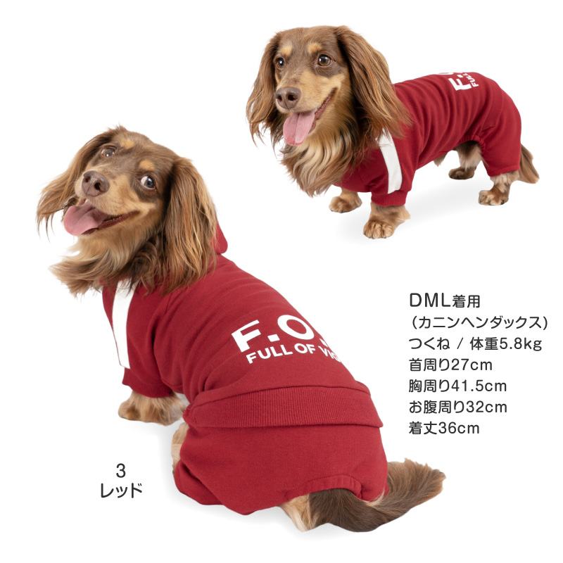 ene 1H 2H 犬服　2点セット 2025秋冬 EDWIN（ エドウィン）デニムライクセットアップ | 犬服