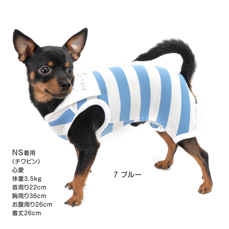 犬の服　　太ボーダー full of vigor 犬 服 夏 接触冷感 太ボーダー セーラー衿 つなぎ