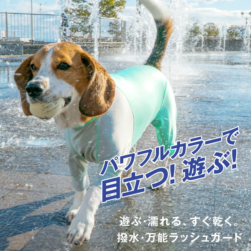 シャカシャカ 音がしない 中型犬 服 秋 冬中型犬用 伸びて 着せやすい ドッグプレイ(R) 配色 撥水 ラッシュガード 紫外線対策 | full of vigor | 01