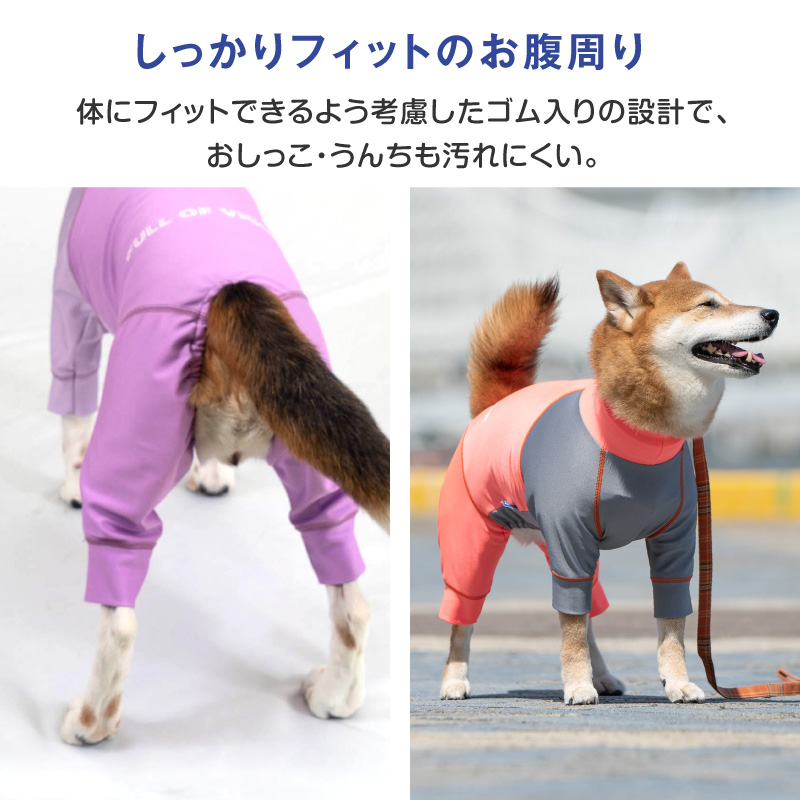 シャカシャカ 音がしない 大型犬 服 秋大型犬用 伸びて 着せやすい ドッグプレイ(R) 配色 撥水 ラッシュガード 紫外線対策 UV対策 | full of vigor | 06