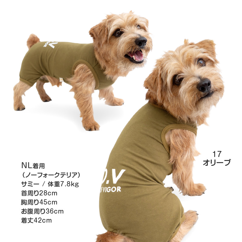 犬服まとめ売り✩枚数増えてお値段そのまま１2点✩ 犬服まとめ売り✩枚数増えてお値段そのまま12点✩ 犬用品