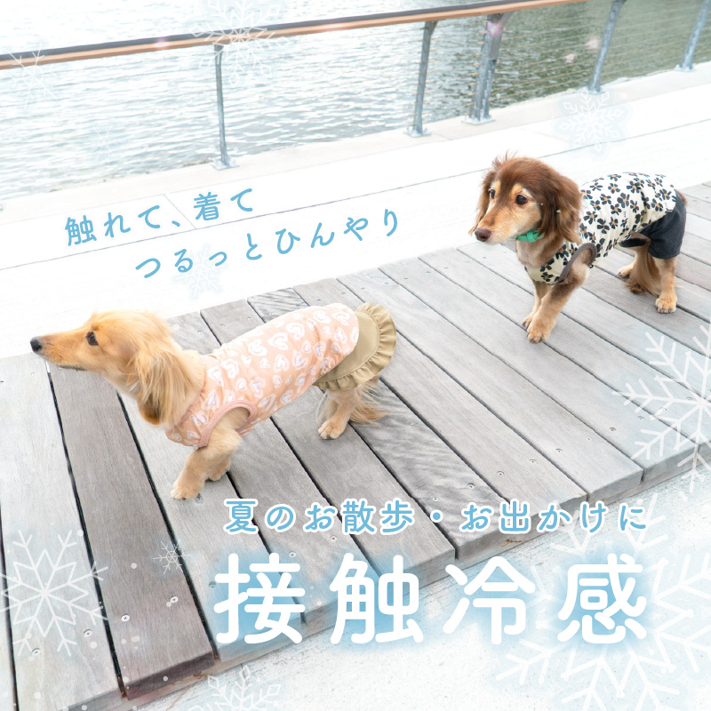 【20%OFFクーポン対象】【7/15 0時〜...の詳細画像1