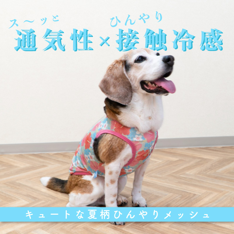 full of vigor（フルオブビガー） 中型犬 服 夏 中型犬用 バラエティ柄