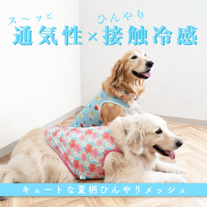 full of vigor（フルオブビガー） 大型犬 服 夏 大型犬用 バラエティ柄