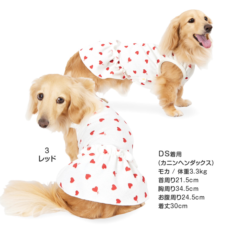 犬 服 夏 ワッフル 柄 昇華プリント ワンピース おそろコーデ ダックス 小型犬用 抜け毛対策  女の子 柔らか チワワ トイプードル | full of vigor | 12