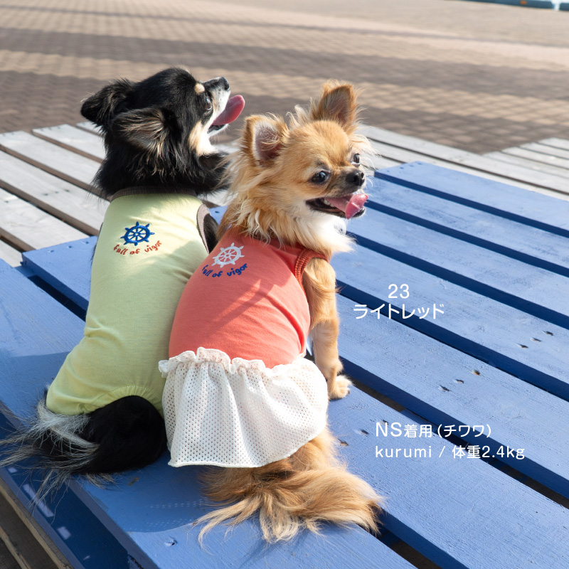 犬 服 夏 接触冷感 ひんやりコットン 天竺 ワンポイント おそろコーデ メッシュ フリル ワンピース ダックス 小型犬用 抜け毛対策 ミニチュアダックス | full of vigor | 09