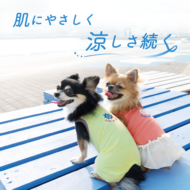 犬 服 夏 接触冷感 ひんやりコットン 天竺 ワンポイント おそろコーデ メッシュ フリル ワンピース ダックス 小型犬用 抜け毛対策 ミニチュアダックス | full of vigor | 01