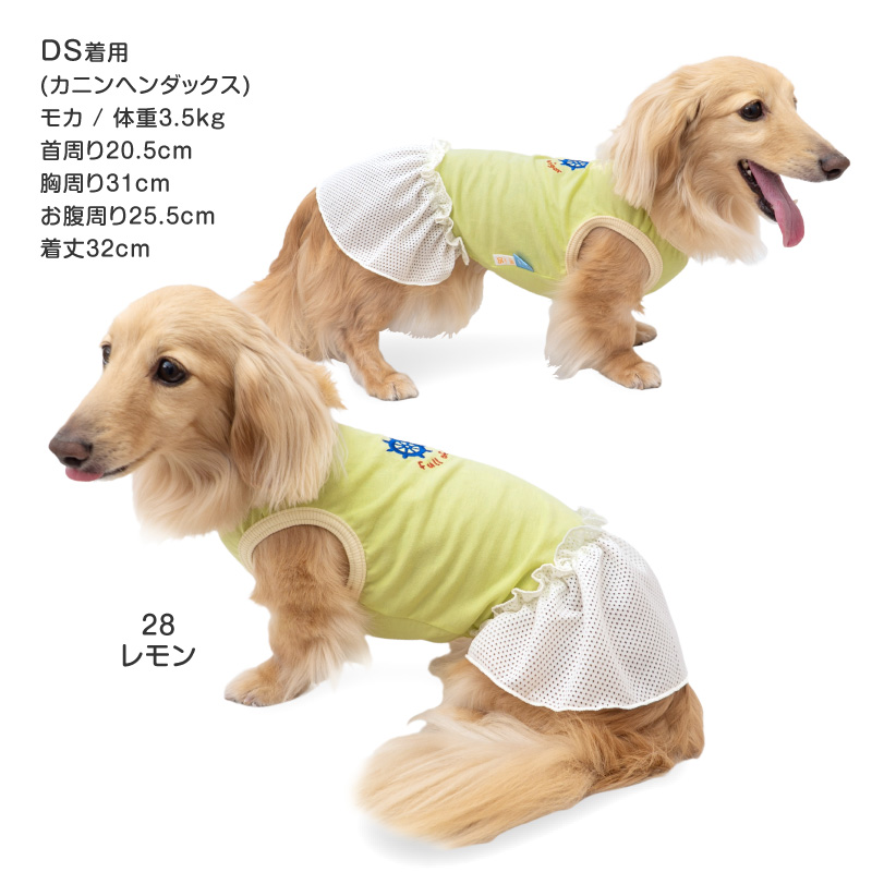 犬 服 夏 接触冷感 ひんやりコットン 天竺 ワンポイント おそろコーデ メッシュ フリル ワンピース ダックス 小型犬用 抜け毛対策 ミニチュアダックス | full of vigor | 07