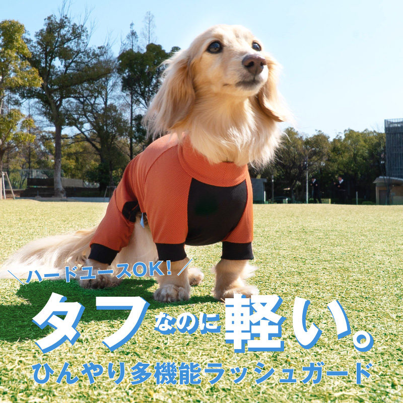 full of vigor（フルオブビガー） 犬 服 春 伸びて 着せやすい ドッグ