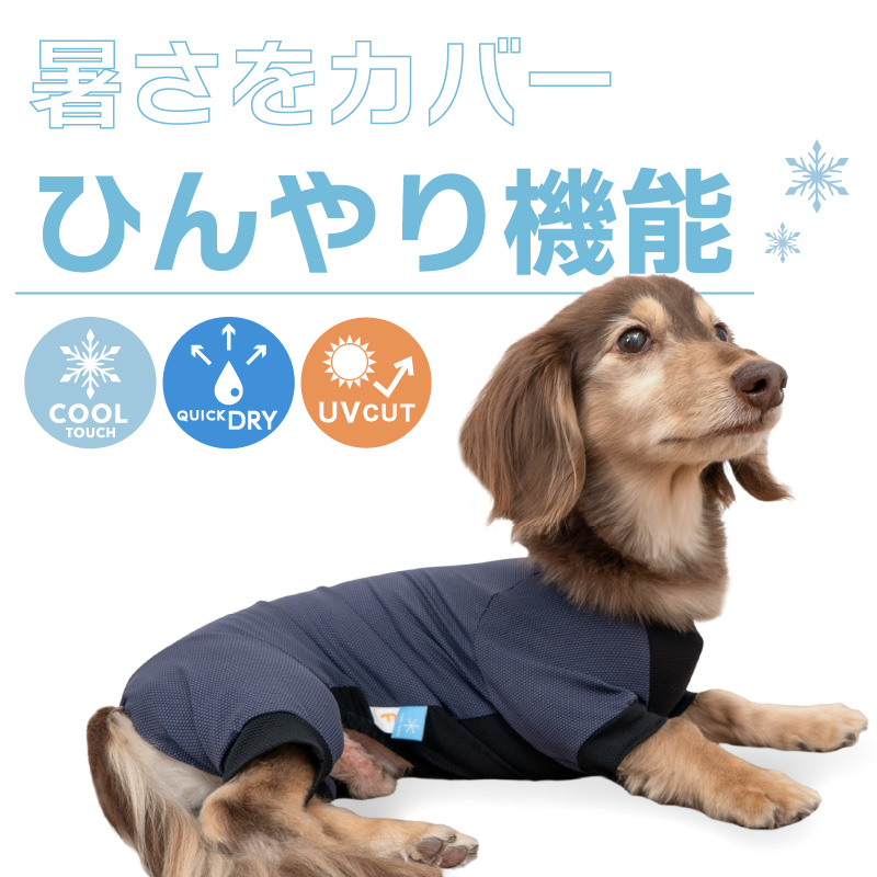 full of vigor（フルオブビガー） 【20%OFFクーポン対象】【5/5 0時〜5