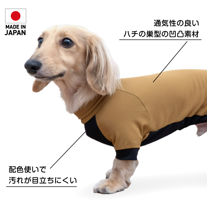 ☆◆RUI◆様☆犬服☆ハンドメイド 楽丸洋品店☆GAKUMARU洋品店 ☆ ハンドメイド犬服☆がっちゃんママ