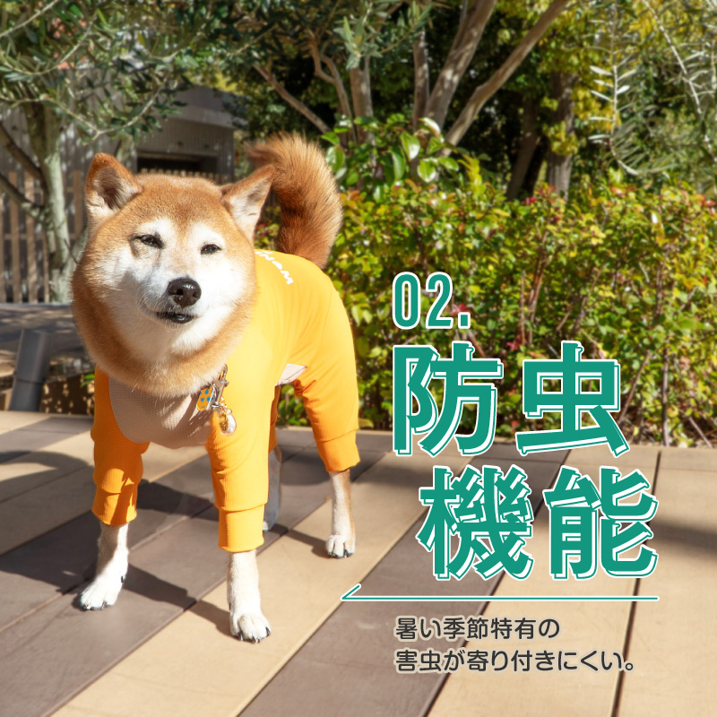 full of vigor（フルオブビガー） 中型犬 服 春 中型犬用 伸びて 着せ