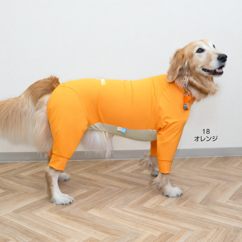 大型犬 服 夏 大型犬用 蚊や虫の気になる季節に 伸びて 着せやすい ドッグプレイ(R) 吸水速乾 ラッシュガード 紫外線対策 UV対策 | full of vigor | 12