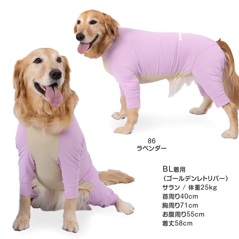 大型犬 服 夏 大型犬用 蚊や虫の気になる季節に 伸びて 着せやすい ドッグプレイ(R) 吸水速乾 ラッシュガード 紫外線対策 UV対策 | full of vigor | 13