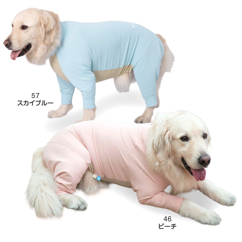 大型犬 服 夏 大型犬用 蚊や虫の気になる季節に 伸びて 着せやすい ドッグプレイ(R) 吸水速乾 ラッシュガード 紫外線対策 UV対策 | full of vigor | 14