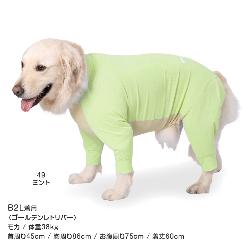大型犬 服 夏 大型犬用 蚊や虫の気になる季節に 伸びて 着せやすい ドッグプレイ(R) 吸水速乾 ラッシュガード 紫外線対策 UV対策 | full of vigor | 15