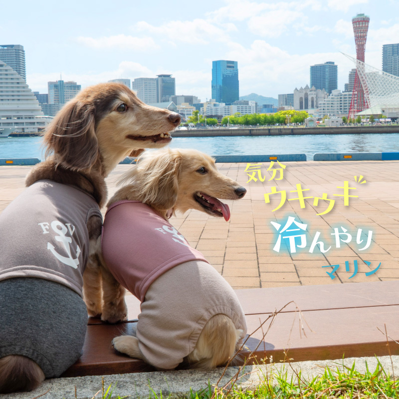 full of vigor（フルオブビガー） 犬 服 夏 接触冷感 レイヤード風