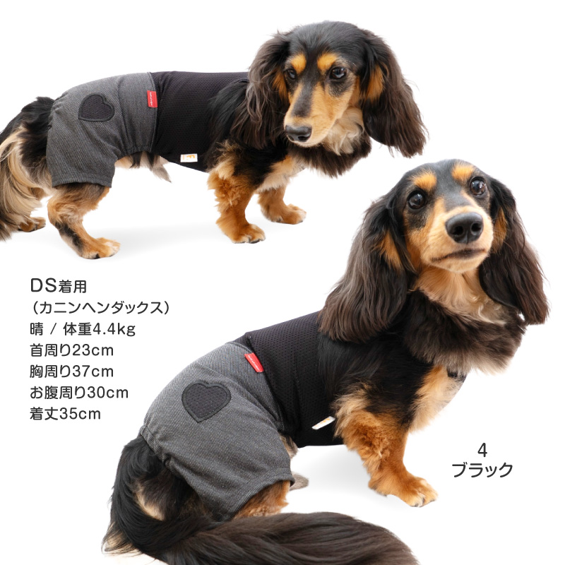 ミニチュアダックス 服の商品一覧 通販 - Yahoo!ショッピング